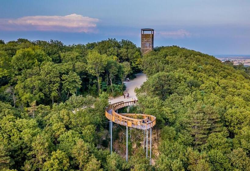 تختخواب و صبحانه Panoráma Birtok   Wellness Panzió, Konferencia és Rendezvényközpont