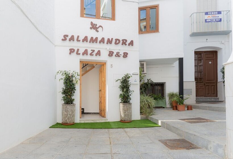 تختخواب و صبحانه Salamandra Plaza