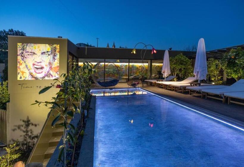 住宿加早餐  Vale De São Torcato Hotel Rural