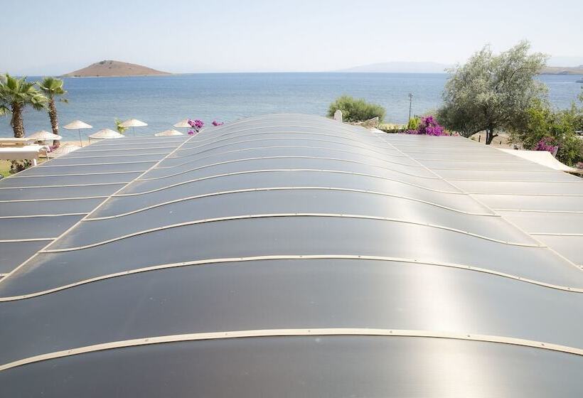 هتل Bodrum Sea Side Beach Club