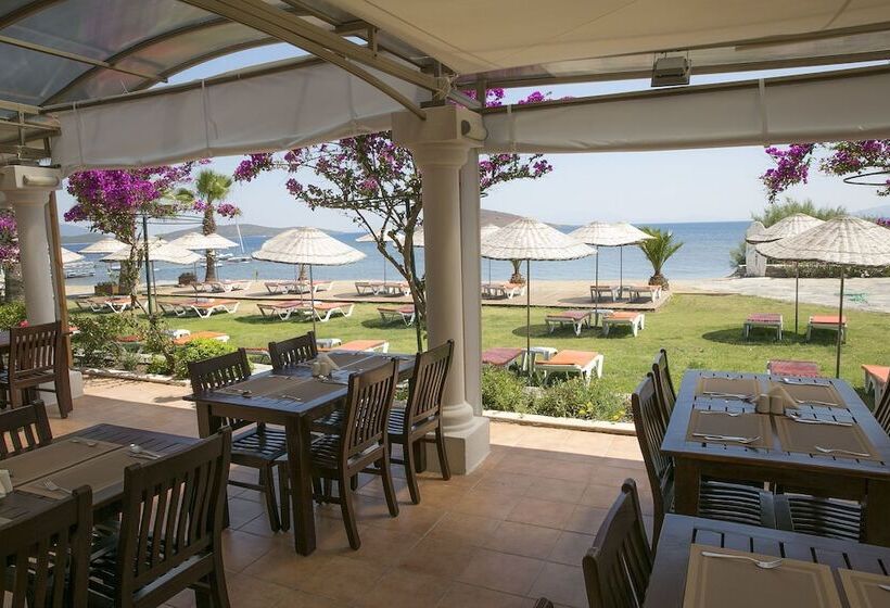 هتل Bodrum Sea Side Beach Club