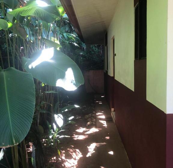 호텔 Casa Del Toucan