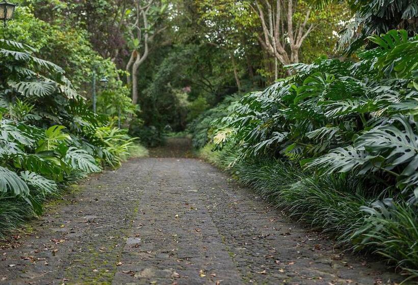 Hotel Finca Rosa Blanca Coffee Farm And Inn