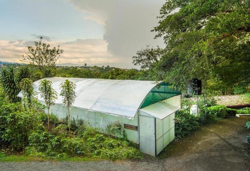 هتل Finca Rosa Blanca Coffee Farm And Inn