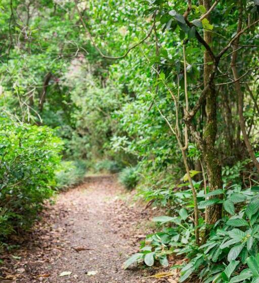 هتل Finca Rosa Blanca Coffee Farm And Inn
