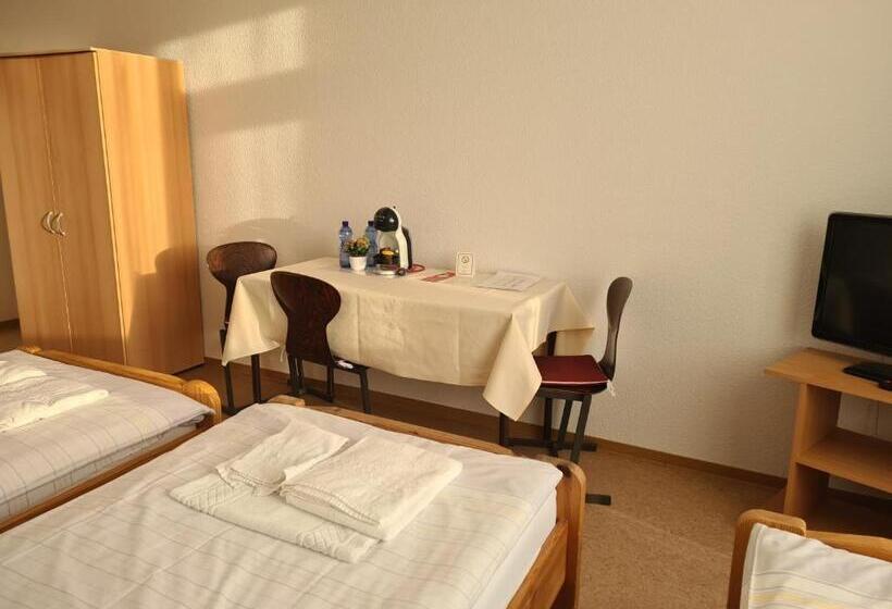 酒店 Gästehaus Haßloch/pfalz