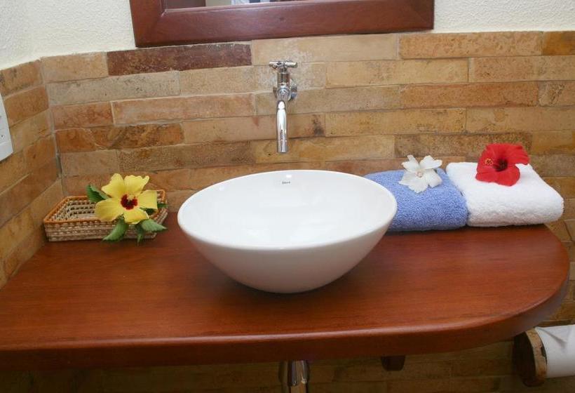 הוסטל Freedom Kite House