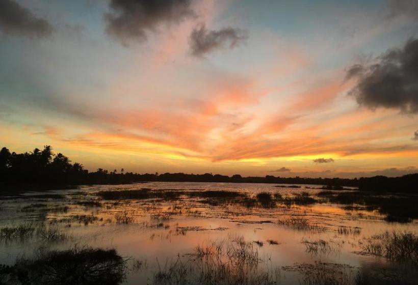 הוסטל Freedom Kite House