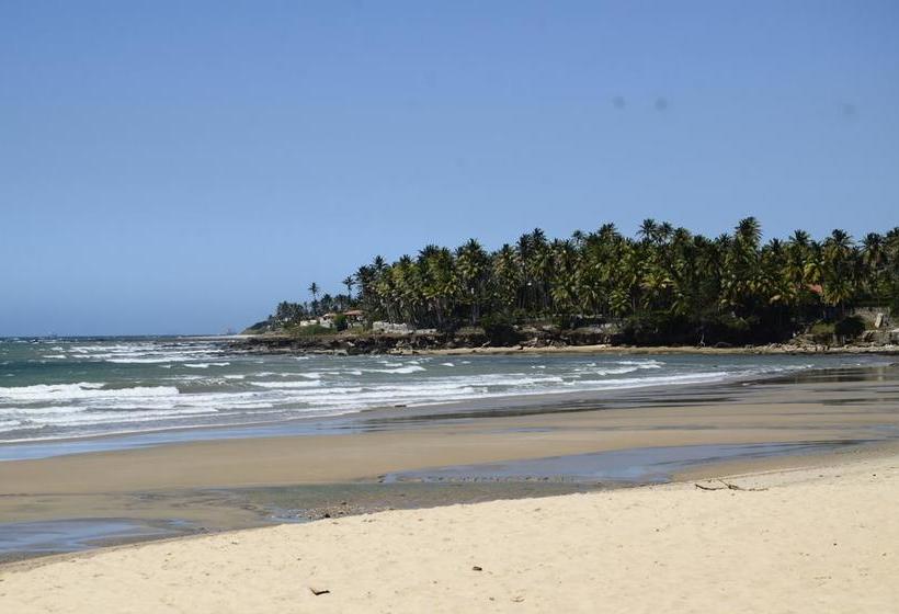 فندق صغير Freedom Kite House