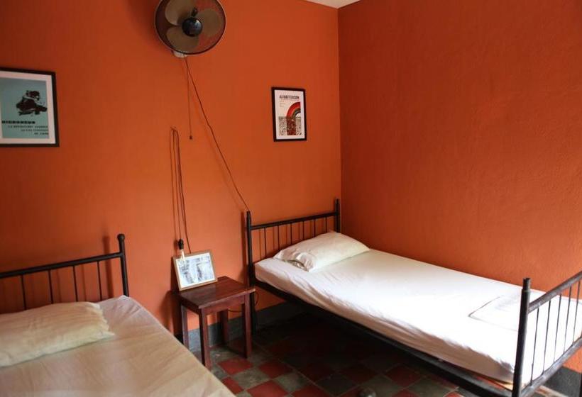 هاستل Hostal La Tortuga Booluda