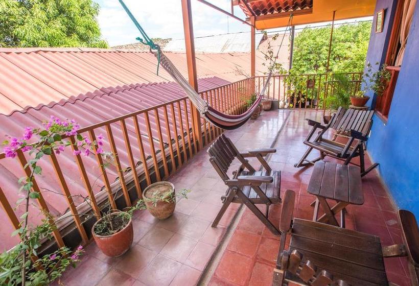 هاستل Hostal La Tortuga Booluda