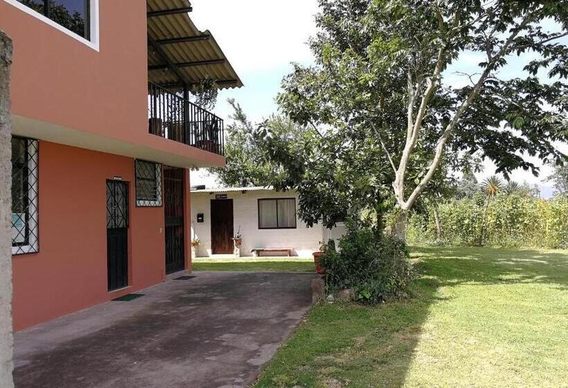 تختخواب و صبحانه Chapelet Hostal