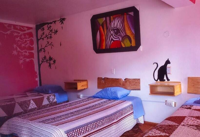 هاستل Huaraz Colonial