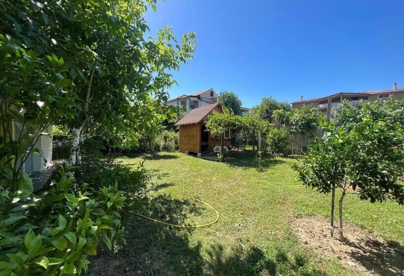Elbasan Backpacker Hostel