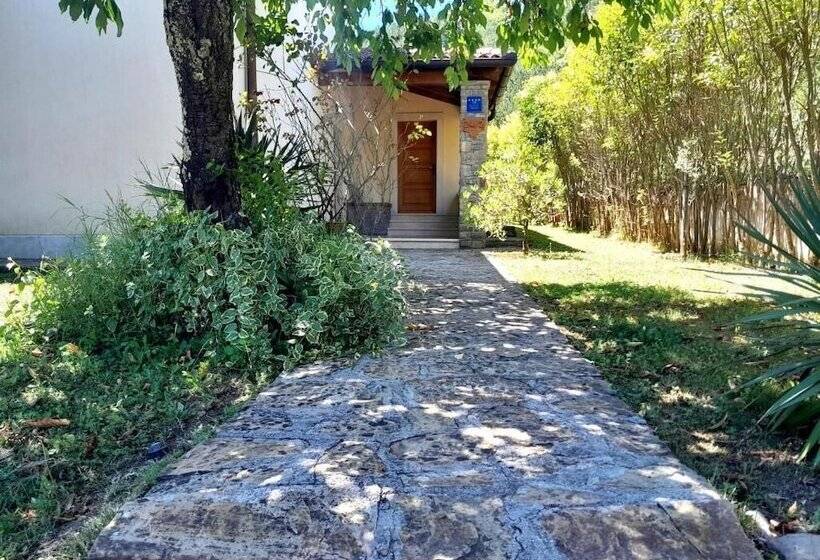 פנסיון Villa Dol