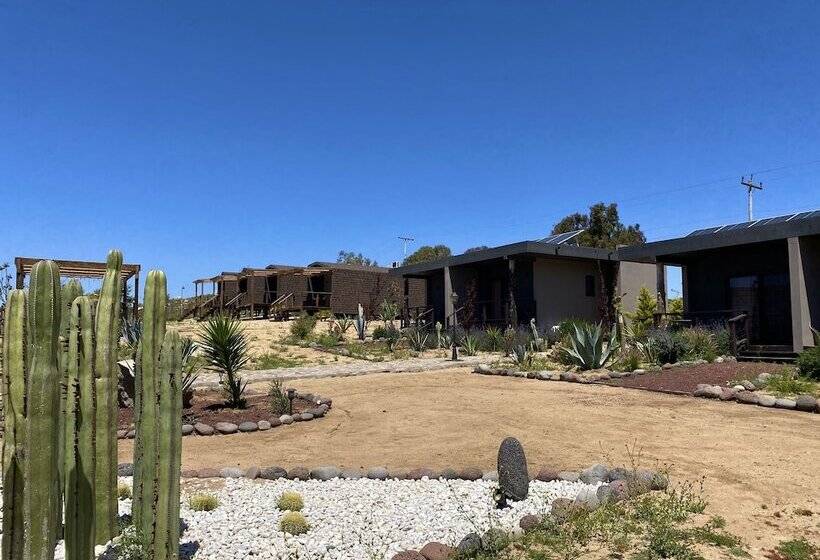 Coquenas Del Valle