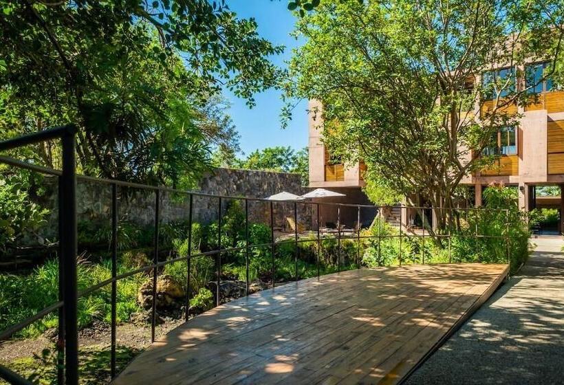 בית מלון כפרי Boutique Casa De Agua