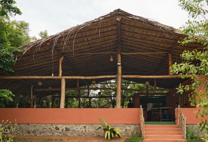 ホテル Forest Lodge Eco Camp