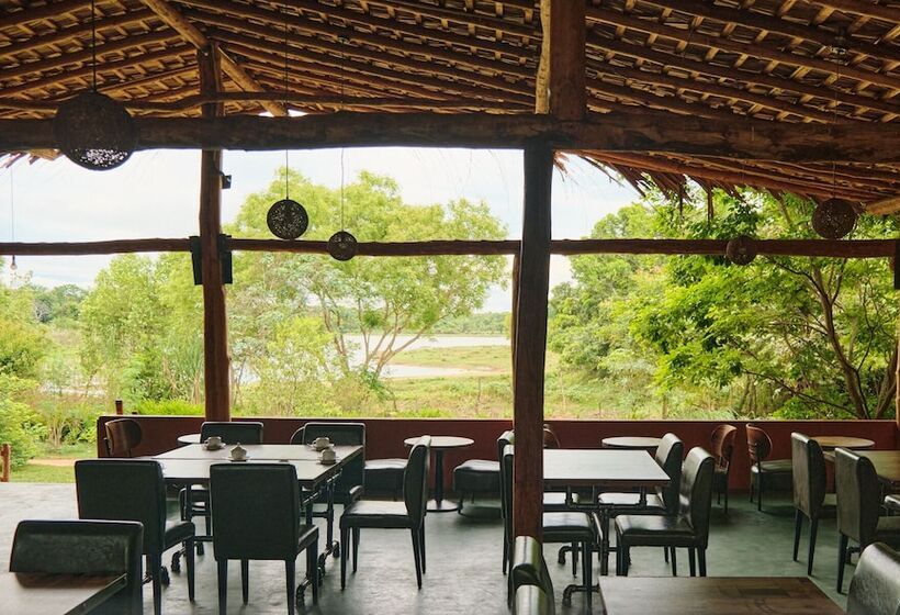 Отель Forest Lodge Eco Camp