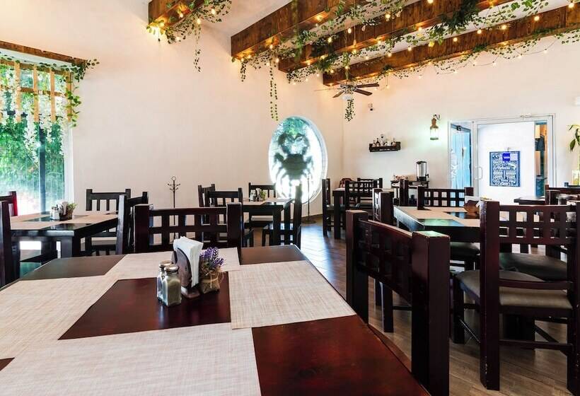 هتل Posada Del Pescador By Oyo