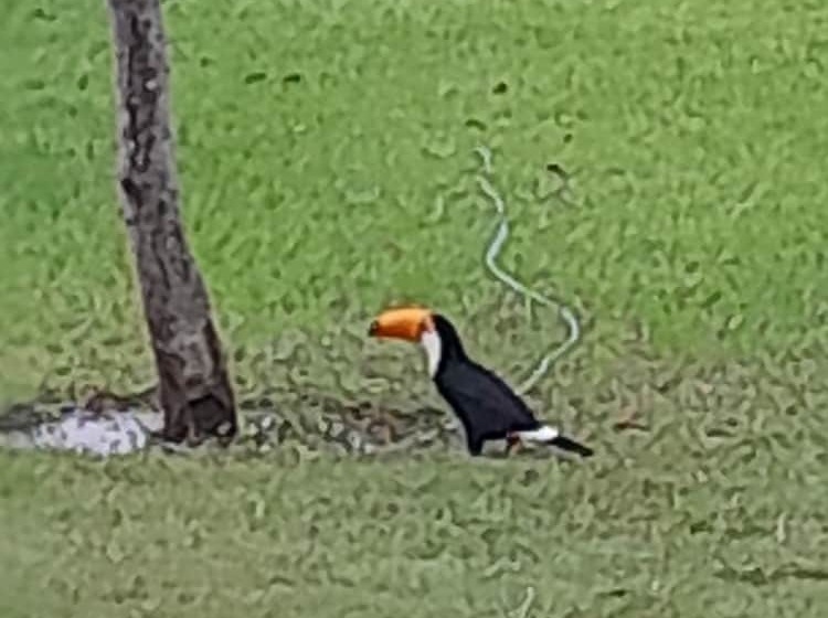 هتل Pousada La Fiesta Ltda