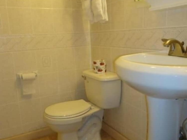 فندق على الطريق Relax Inn Elmira
