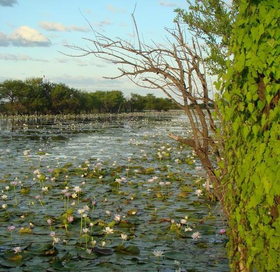 Parry Creek Farm Tourist Resort And Caravan Park