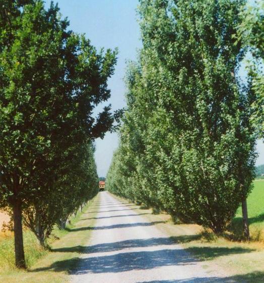 مبيت وإفطار Agriturismo Le Colombaie
