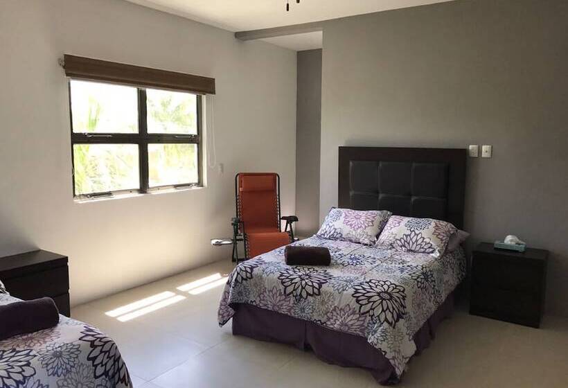 هاستل Hostal Urbano