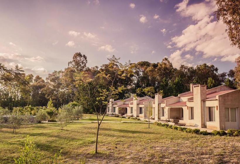 مبيت وإفطار Suites Camacho