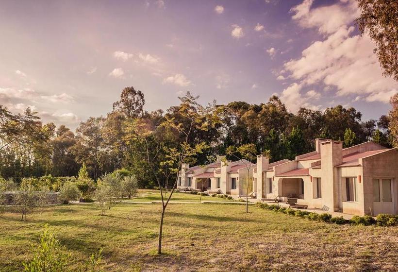 مبيت وإفطار Suites Camacho