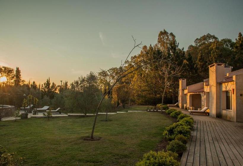 مبيت وإفطار Suites Camacho