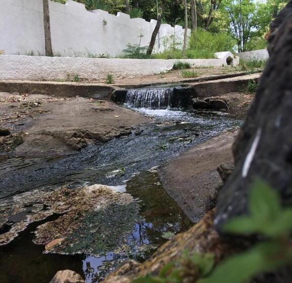住宿加早餐  Termas Da Sulfurea