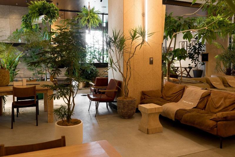 Fotos del hotel Trunk:  26