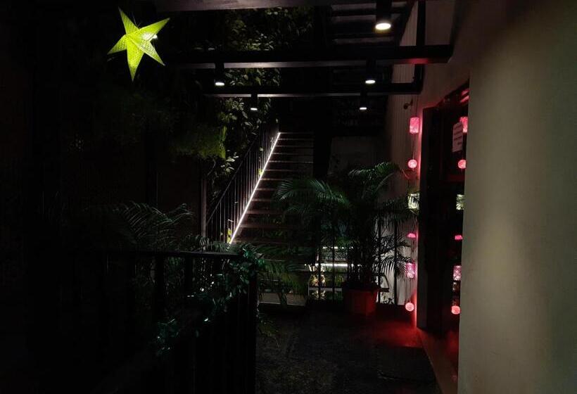 Bed and Breakfast Avea Accommodation
