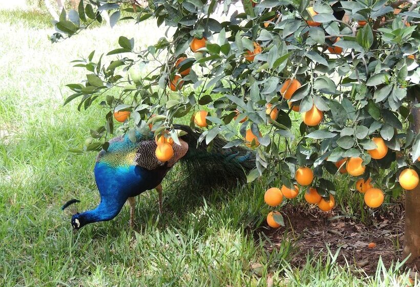 تختخواب و صبحانه Dar Al Hossoun