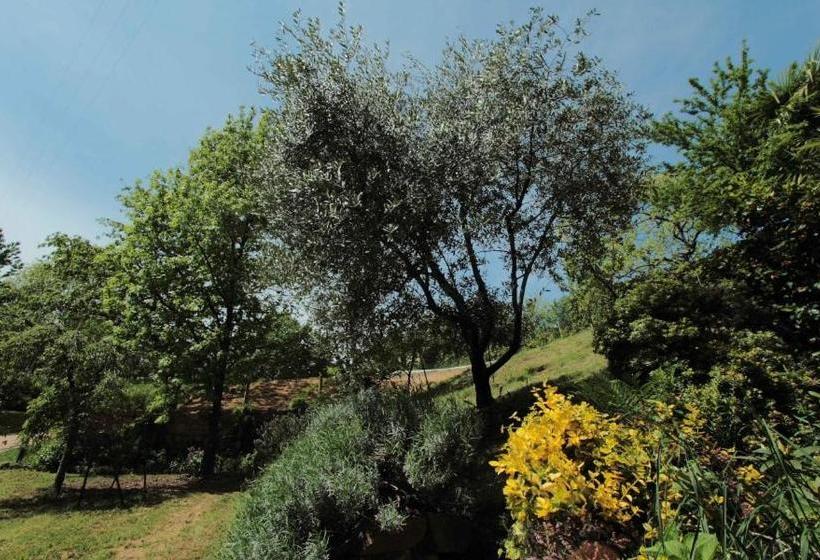 مبيت وإفطار La Casa Di Baba