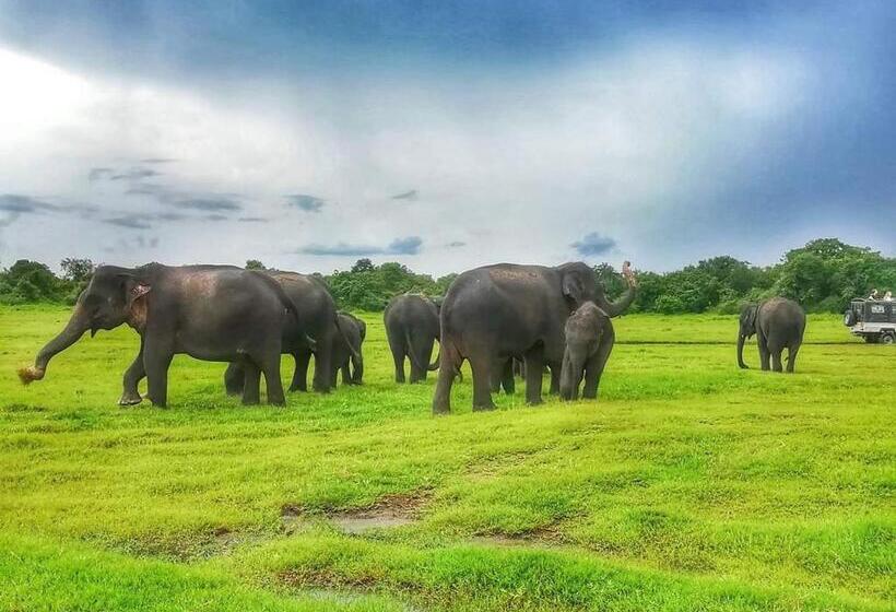 تختخواب و صبحانه Lakmal Homestay ,10 Minutes To Sigiriya Rock