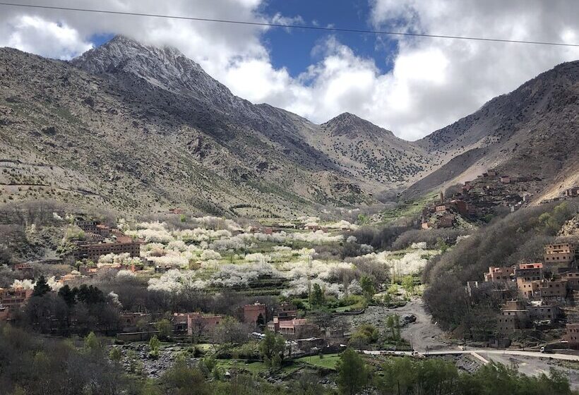 تختخواب و صبحانه Riad Atlas 4 Seasons