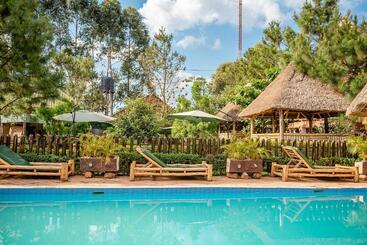 تختخواب و صبحانه Elite Backpackers Services