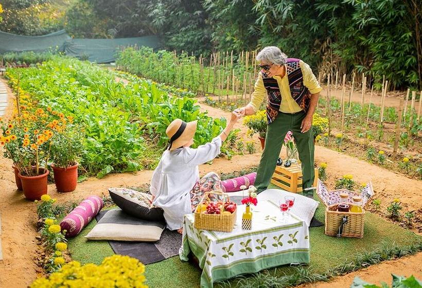 استراحتگاه Karma Chalets