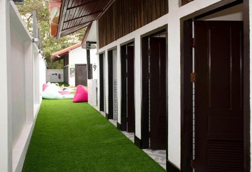هاستل Mad Monkey Luang Prabang