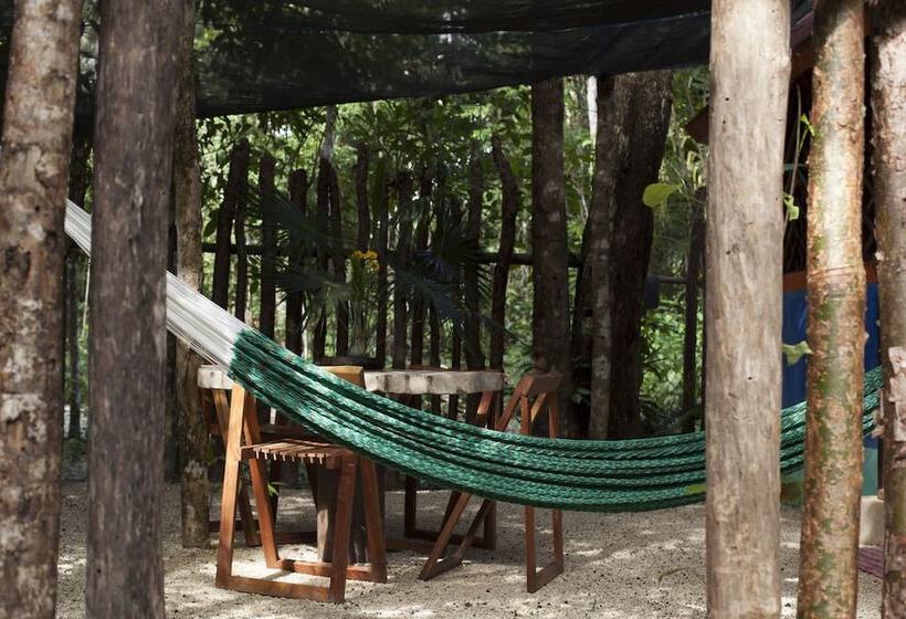 تختخواب و صبحانه Chaktunche Rancho Ecolodge