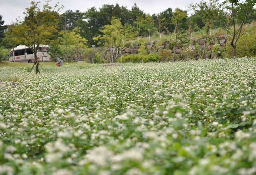 هتل Nanta Jeju