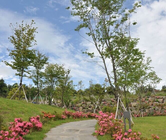 هتل Nanta Jeju