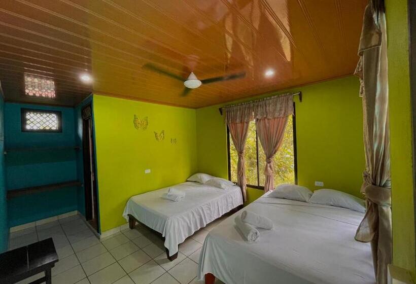 Los Amigos Jungle Hotel Tortuguero