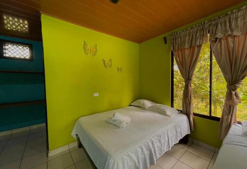 Los Amigos Jungle Hotel Tortuguero
