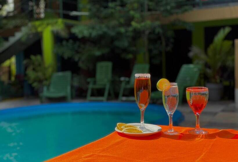 Los Amigos Jungle Hotel Tortuguero