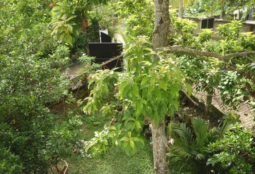 تختخواب و صبحانه New Jaya Villa