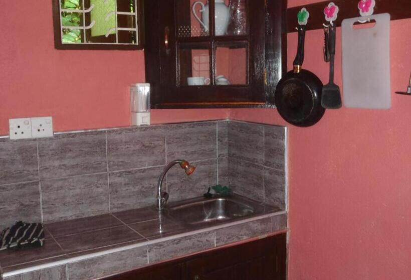 تختخواب و صبحانه New Jaya Villa